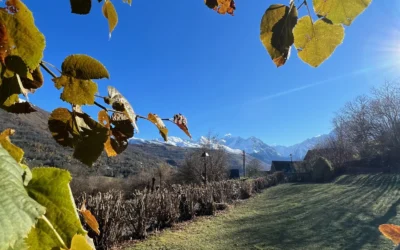 9 lieux culturels à Saint-Lary-Soulan