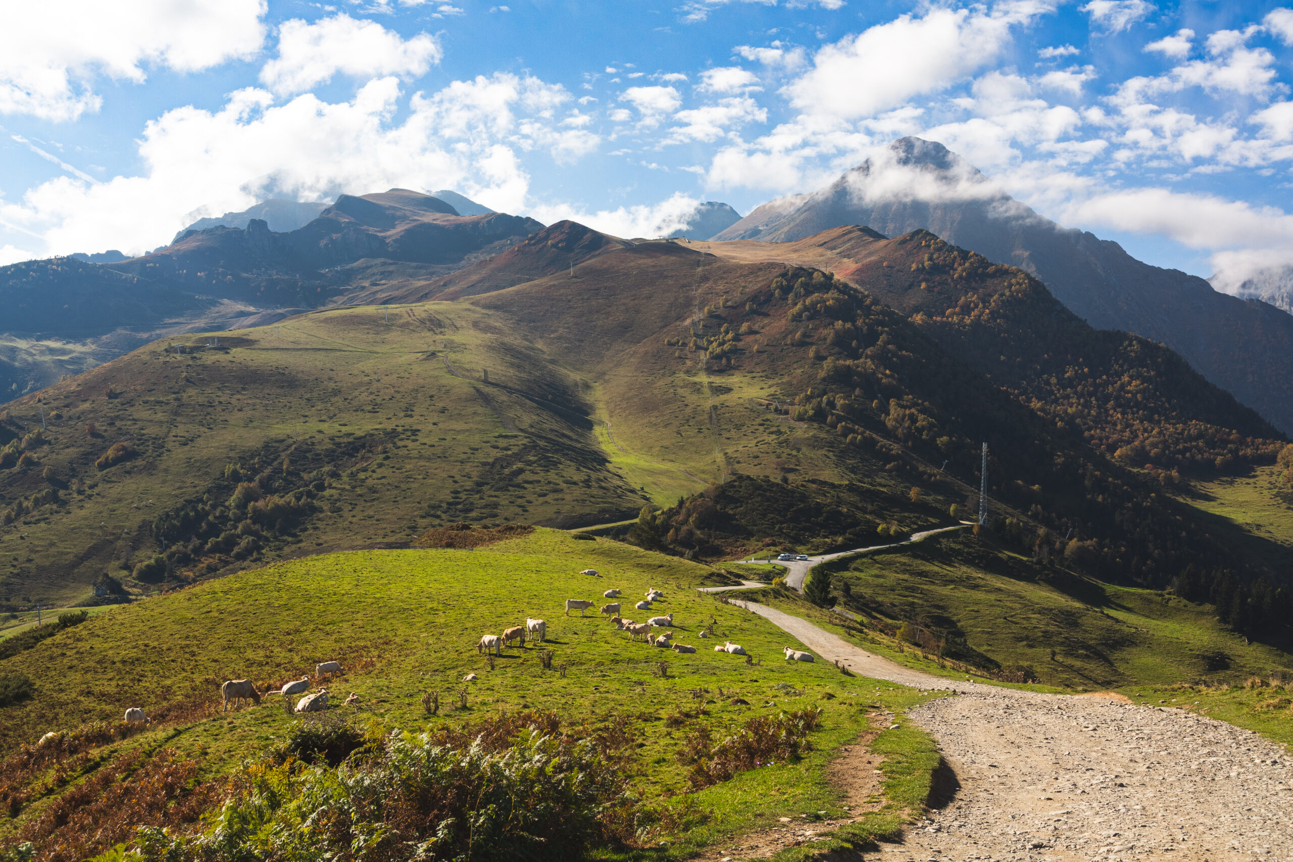 Crête de montagne herbeuse avec troupeau de vaches au pâturage et chemin sinueux vers un col pyrénéen