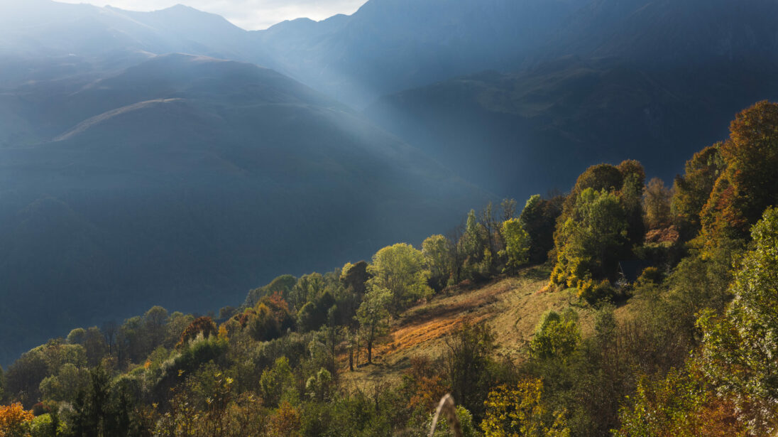 Chaîne de sommets pyrénéens en contre-jour brumeux avec versant boisé aux couleurs automnales au premier plan