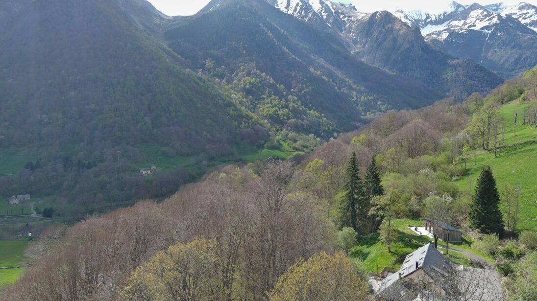 Vue plongeante sur une vallée boisée verdoyante avec sommets partiellement enneigés à Saint-Lary-Soulan